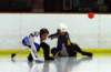 Photo Number 11